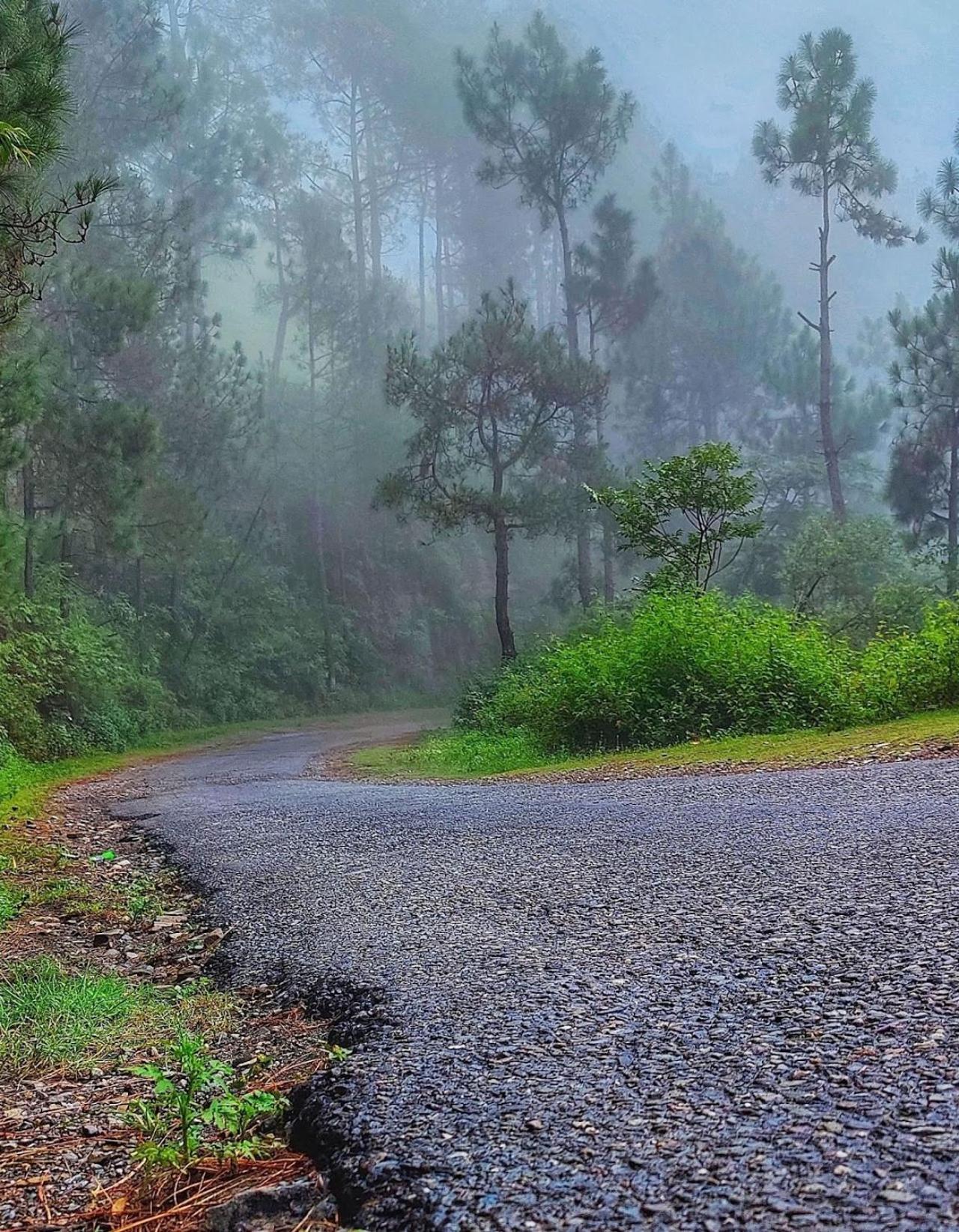 Kabana De Nature Rājgarh Exterior foto
